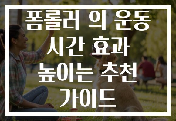 폼롤러 의 운동 시간 효과 높이는 추천 가이드