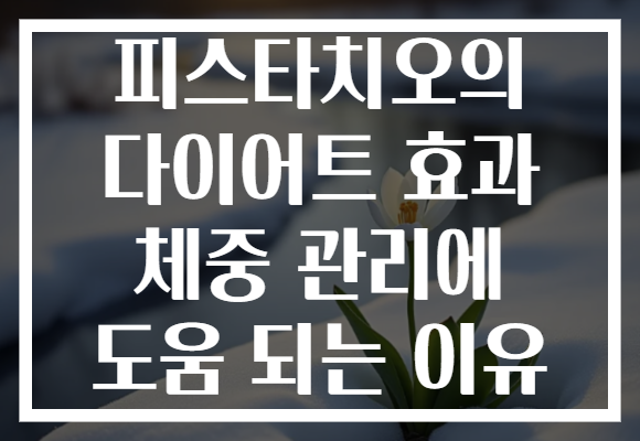 피스타치오의 다이어트 효과 체중 관리에 도움 되는 이유 피스타치오의 다이어트 효과 체중 관리에 도움 되는 이유