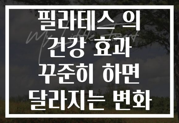 필라테스 의 건강 효과 꾸준히 하면 달라지는 변화 필라테스 의 건강 효과 꾸준히 하면 달라지는 변화