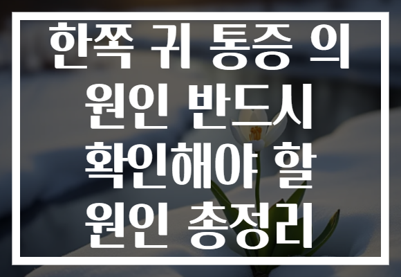 한쪽 귀 통증 의 원인 반드시 확인해야 할 원인 총정리 한쪽 귀 통증 의 원인 반드시 확인해야 할 원인 총정리
