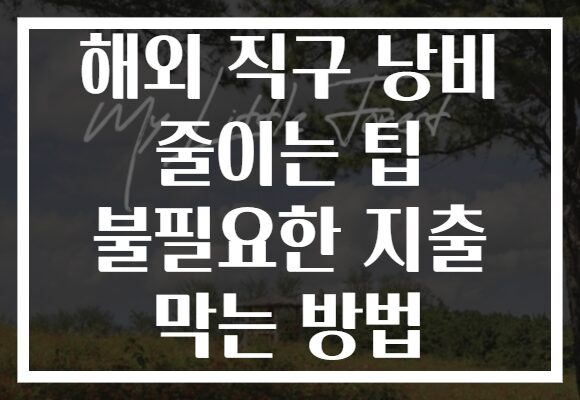 해외 직구 낭비 줄이는 팁 불필요한 지출 막는 방법