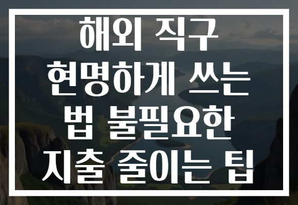 해외 직구 현명하게 쓰는 법 불필요한 지출 줄이는 팁 해외 직구 현명하게 쓰는 법 불필요한 지출 줄이는 팁