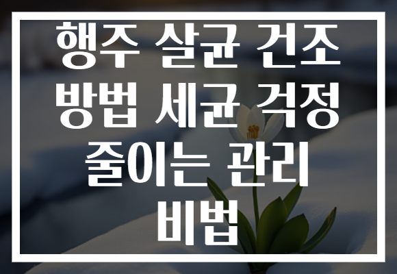 행주 살균 건조 방법 세균 걱정 줄이는 관리 비법