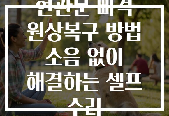 현관문 삐걱 원상복구 방법 소음 없이 해결하는 셀프 수리 현관문 삐걱 원상복구 방법 소음 없이 해결하는 셀프 수리