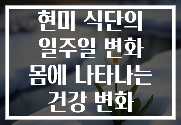 현미 식단의 일주일 변화 몸에 나타나는 건강 변화