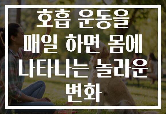 호흡 운동을 매일 하면 몸에 나타나는 놀라운 변화 호흡 운동을 매일 하면 몸에 나타나는 놀라운 변화
