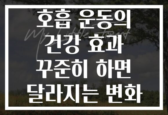 호흡 운동의 건강 효과 꾸준히 하면 달라지는 변화 호흡 운동의 건강 효과 꾸준히 하면 달라지는 변화