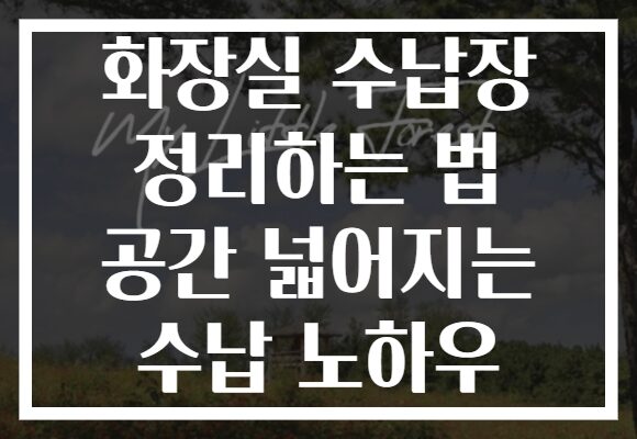 화장실 수납장 정리하는 법 공간 넓어지는 수납 노하우
