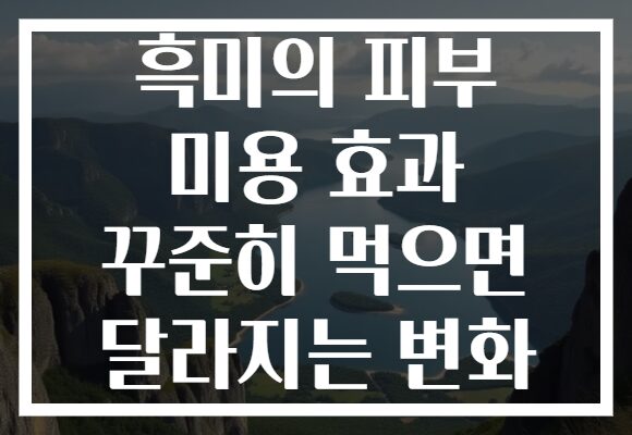 흑미의 피부 미용 효과 꾸준히 먹으면 달라지는 변화