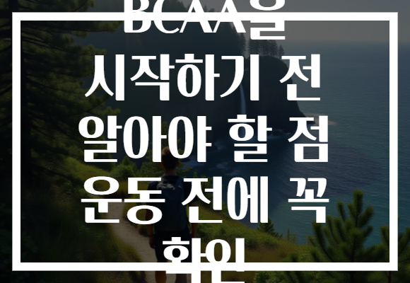 BCAA을 시작하기 전 알아야 할 점 운동 전에 꼭 확인 BCAA을 시작하기 전 알아야 할 점 운동 전에 꼭 확인