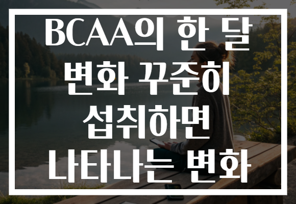 BCAA의 한 달 변화 꾸준히 섭취하면 나타나는 변화