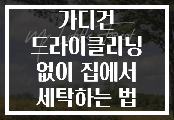 가디건 드라이클리닝 없이 집에서 세탁하는 법 가디건 드라이클리닝 없이 집에서 세탁하는 법