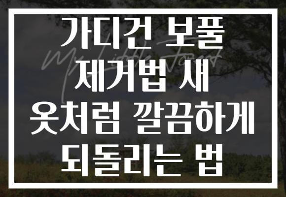 가디건 보풀 제거법 새 옷처럼 깔끔하게 되돌리는 법 가디건 보풀 제거법 새 옷처럼 깔끔하게 되돌리는 법