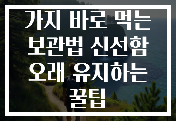 가지 바로 먹는 보관법 신선함 오래 유지하는 꿀팁 가지 바로 먹는 보관법 신선함 오래 유지하는 꿀팁