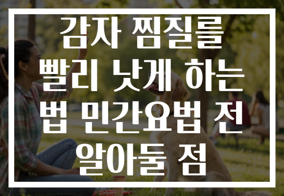 감자 찜질를 빨리 낫게 하는 법 민간요법 전 알아둘 점 감자 찜질를 빨리 낫게 하는 법 민간요법 전 알아둘 점