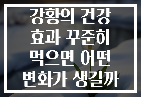 강황의 건강 효과 꾸준히 먹으면 어떤 변화가 생길까 강황의 건강 효과 꾸준히 먹으면 어떤 변화가 생길까