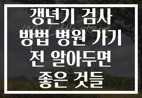 갱년기 검사 방법 병원 가기 전 알아두면 좋은 것들