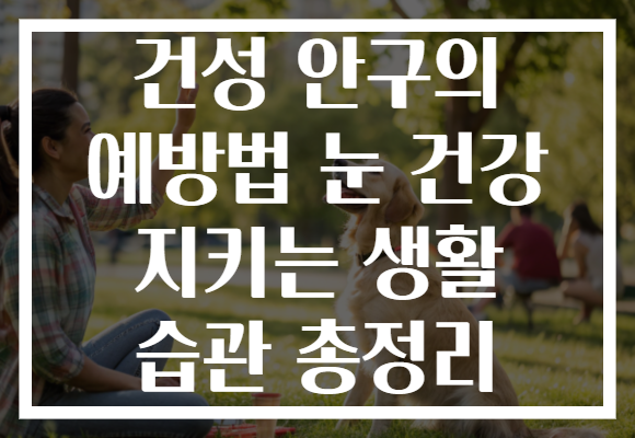 건성 안구의 예방법 눈 건강 지키는 생활 습관 총정리 건성 안구의 예방법 눈 건강 지키는 생활 습관 총정리