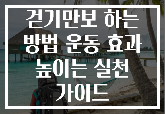 걷기만보 하는 방법 운동 효과 높이는 실천 가이드 걷기만보 하는 방법 운동 효과 높이는 실천 가이드