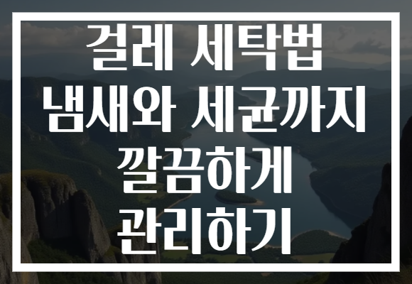 걸레 세탁법 냄새와 세균까지 깔끔하게 관리하기 걸레 세탁법 냄새와 세균까지 깔끔하게 관리하기