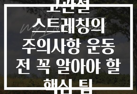 고관절 스트레칭의 주의사항 운동 전 꼭 알아야 할 핵심 팁 고관절 스트레칭의 주의사항 운동 전 꼭 알아야 할 핵심 팁