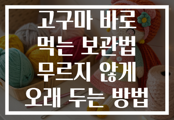 고구마 바로 먹는 보관법 무르지 않게 오래 두는 방법