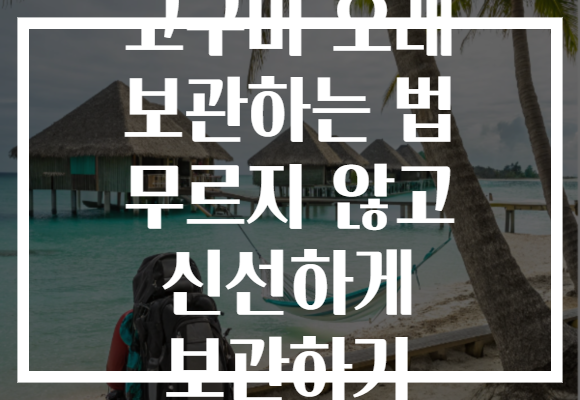 고구마 오래 보관하는 법 무르지 않고 신선하게 보관하기 고구마 오래 보관하는 법 무르지 않고 신선하게 보관하기