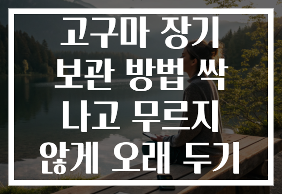 고구마 장기 보관 방법 싹 나고 무르지 않게 오래 두기