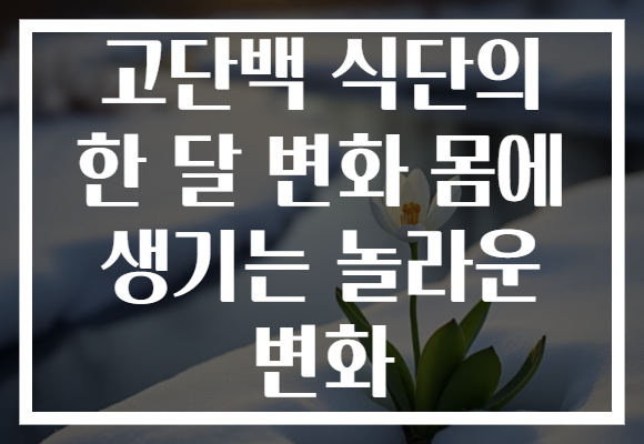 고단백 식단의 한 달 변화 몸에 생기는 놀라운 변화 고단백 식단의 한 달 변화 몸에 생기는 놀라운 변화