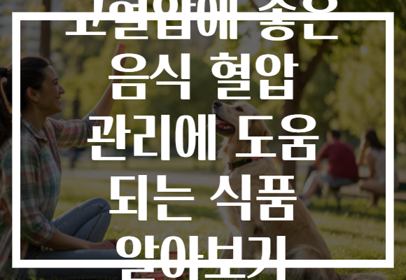 고혈압에 좋은 음식 혈압 관리에 도움 되는 식품 알아보기 고혈압에 좋은 음식 혈압 관리에 도움 되는 식품 알아보기