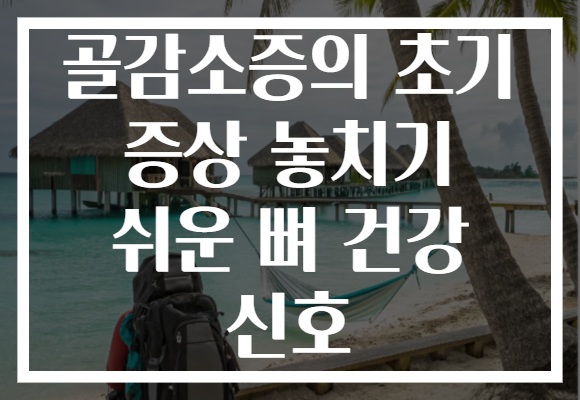 골감소증의 초기 증상 놓치기 쉬운 뼈 건강 신호 골감소증의 초기 증상 놓치기 쉬운 뼈 건강 신호