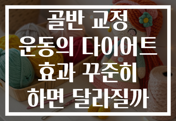 골반 교정 운동의 다이어트 효과 꾸준히 하면 달라질까