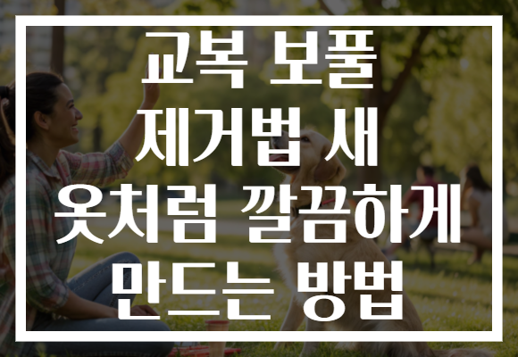 교복 보풀 제거법 새 옷처럼 깔끔하게 만드는 방법