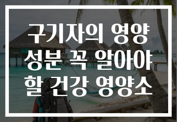 구기자의 영양 성분 꼭 알아야 할 건강 영양소 구기자의 영양 성분 꼭 알아야 할 건강 영양소