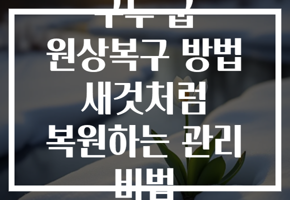 구두 굽 원상복구 방법 새것처럼 복원하는 관리 비법 구두 굽 원상복구 방법 새것처럼 복원하는 관리 비법