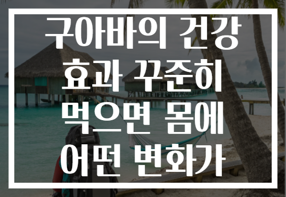 구아바의 건강 효과 꾸준히 먹으면 몸에 어떤 변화가 구아바의 건강 효과 꾸준히 먹으면 몸에 어떤 변화가