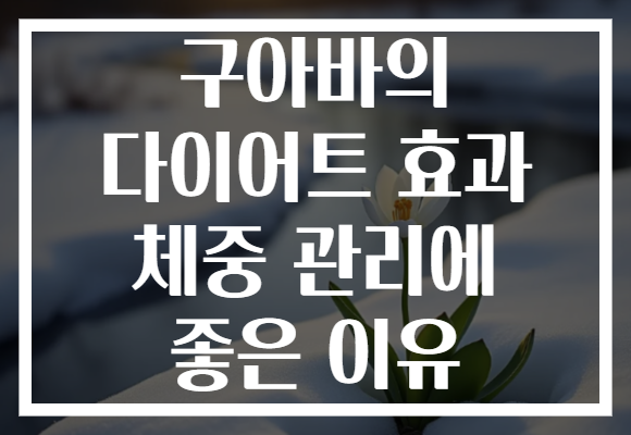구아바의 다이어트 효과 체중 관리에 좋은 이유 구아바의 다이어트 효과 체중 관리에 좋은 이유