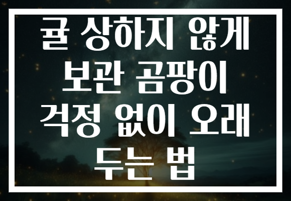 귤 상하지 않게 보관 곰팡이 걱정 없이 오래 두는 법 귤 상하지 않게 보관 곰팡이 걱정 없이 오래 두는 법