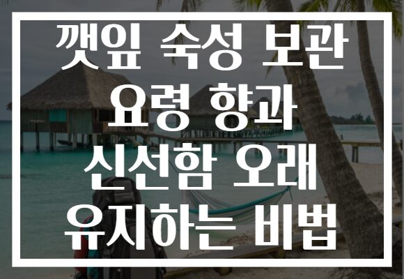 깻잎 숙성 보관 요령 향과 신선함 오래 유지하는 비법 깻잎 숙성 보관 요령 향과 신선함 오래 유지하는 비법
