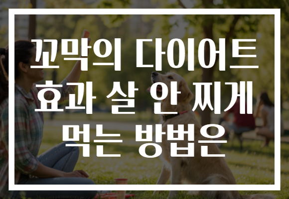 꼬막의 다이어트 효과 살 안 찌게 먹는 방법은