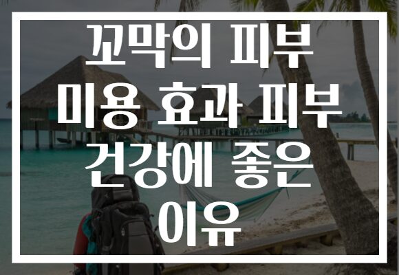 꼬막의 피부 미용 효과 피부 건강에 좋은 이유
