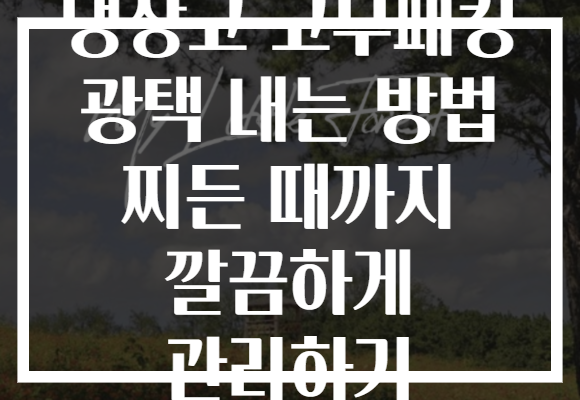 냉장고 고무패킹 광택 내는 방법 찌든 때까지 깔끔하게 관리하기