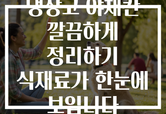 냉장고 야채칸 깔끔하게 정리하기 식재료가 한눈에 보입니다 냉장고 야채칸 깔끔하게 정리하기 식재료가 한눈에 보입니다