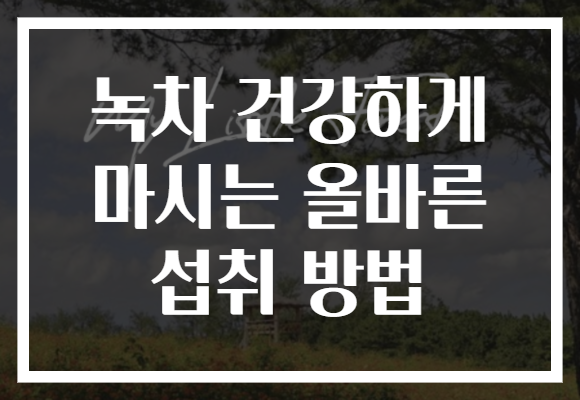 녹차 건강하게 마시는 올바른 섭취 방법 녹차 건강하게 마시는 올바른 섭취 방법