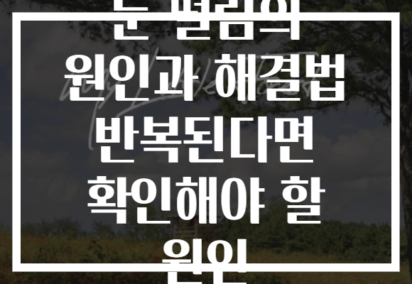 눈 떨림의 원인과 해결법 반복된다면 확인해야 할 원인 눈 떨림의 원인과 해결법 반복된다면 확인해야 할 원인