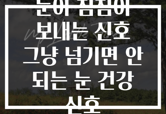 눈이 침침이 보내는 신호 그냥 넘기면 안 되는 눈 건강 신호 눈이 침침이 보내는 신호 그냥 넘기면 안 되는 눈 건강 신호