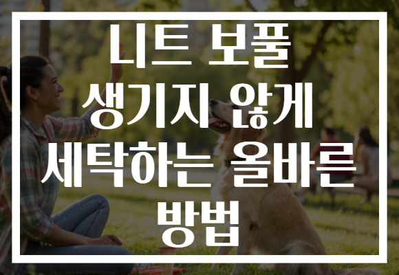 니트 보풀 생기지 않게 세탁하는 올바른 방법