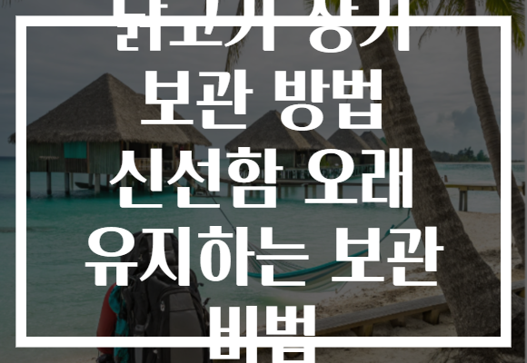 닭고기 장기 보관 방법 신선함 오래 유지하는 보관 비법