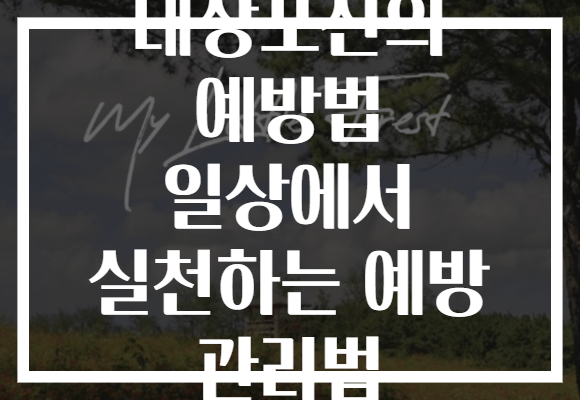 대상포진의 예방법 일상에서 실천하는 예방 관리법
