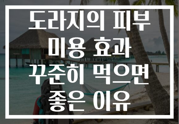 도라지의 피부 미용 효과 꾸준히 먹으면 좋은 이유 도라지의 피부 미용 효과 꾸준히 먹으면 좋은 이유